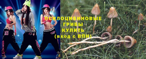 PSILOCYBIN Алексин