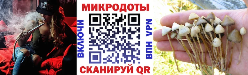 Галлюциногенные грибы Psilocybine cubensis  MEGA сайт  Самара 