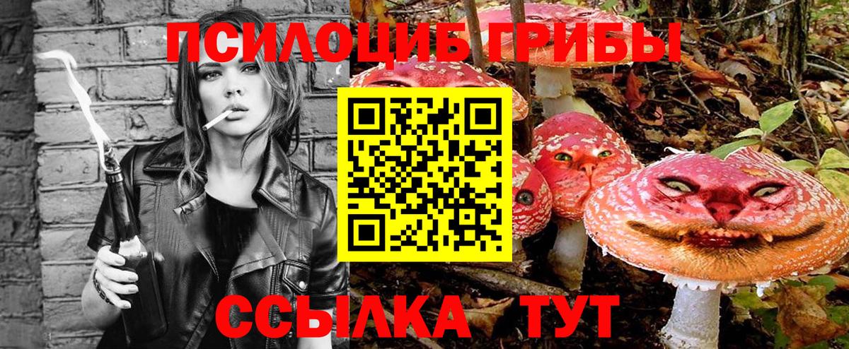 Галлюциногенные грибы Psilocybe Самара