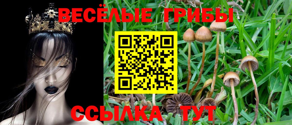 Самара  Галлюциногенные грибы Magic Shrooms  Вход с VPN 